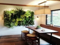Indoor Garden Green Wall Pack - Indoors