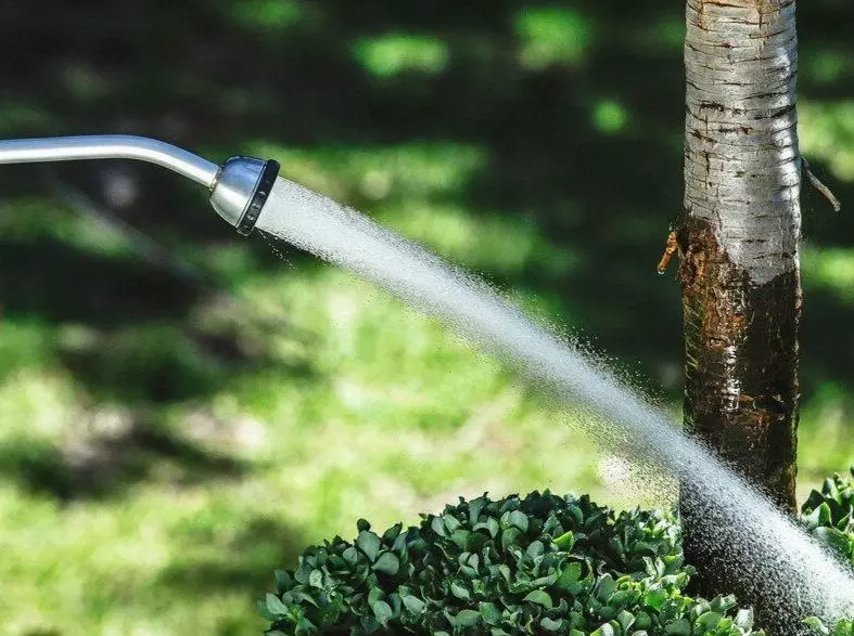 Hoselink Long-reach Shower Spray Wand 3 Hoselink Long-reach Shower Spray Wand