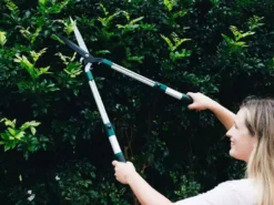 Hoselink 2-in-1 Hedge Shears Outdoor Accessories