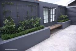 Hedge Murraya Min-a-Min Dwarf Hedging Pack 19 Hedge Murraya Min-a-Min Dwarf Hedging Pack