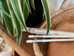 Gift Kits 2 Sustees + 2 Refills Bundle 15 Gift Kits 2 Sustees + 2 Refills Bundle