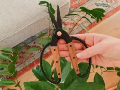 Secateurs Barebones - Small Scissors 19 Secateurs Barebones - Small Scissors