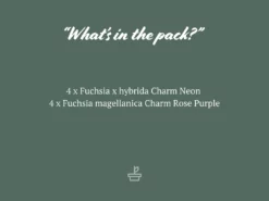 Shrubs Border Plants Potted Pretties Full Shade Mix