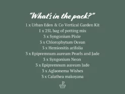 Indoor Garden Gift Kits Greenwall Kit - Includes Plants