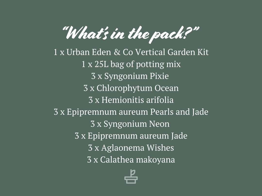 Indoor Garden Gift Kits Greenwall Kit - Includes Plants 4 Indoor Garden Gift Kits Greenwall Kit - Includes Plants