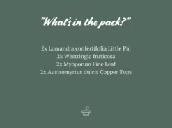 Shrubs Drought Tolerant Plant Pack