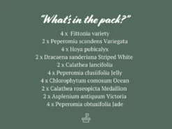 Indoor Garden The Teachers Classroom Houseplant Pack