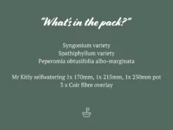 Indoor Garden Mr Kitly 3 Plants & 3 Assorted Sized Pots Plant Packs