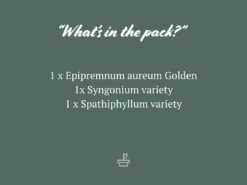 Indoor Garden The Plant Killers Pack - 85mm Plant Packs 10 Indoor Garden The Plant Killers Pack - 85mm Plant Packs