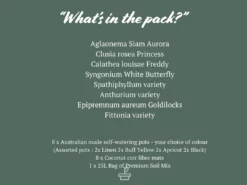 Indoor Garden 8 Bundle Box 📦 - Includes Plants,Pots & Soil