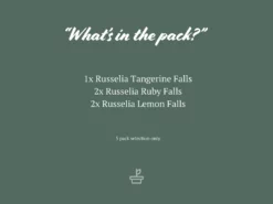 Shrubs Russelia "Falls" Mixed Box