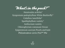 Indoor Garden Green Wall Pack - Indoors 18 Indoor Garden Green Wall Pack - Indoors