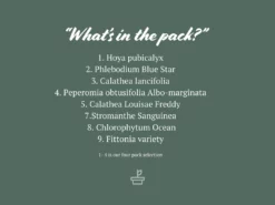 Indoor Garden Cat-Friendly Indoor Plant Pack 🐈