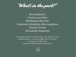 Indoor Garden Pet-friendly Indoor Plants Mr Kitly 6 Houseplants & 6 Pots - Pet-Friendly Edition