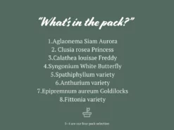 Indoor Garden Easy Care Plants Assorted Pack Of Houseplants 🍃 *Pick Your Own