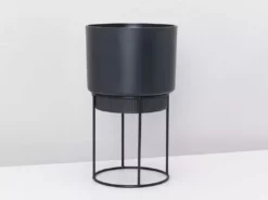 Elho Eco Stand + Plant + Pot (includes Coir)