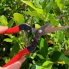 Ryset Outdoor Accessories Plant Pruning Snips