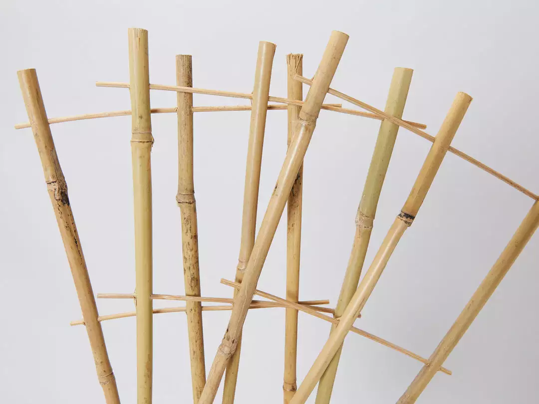 Fernland Bamboo Plant Trainer Plant Stakes & Stands 6 Fernland Bamboo Plant Trainer Plant Stakes & Stands