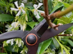 Barebones - Artisan Pruning Shears
