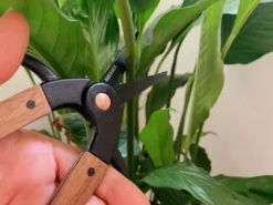 Secateurs Barebones - Small Scissors 14 Secateurs Barebones - Small Scissors