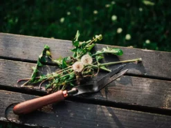 Barebones Weeding Fork Outdoor Accessories