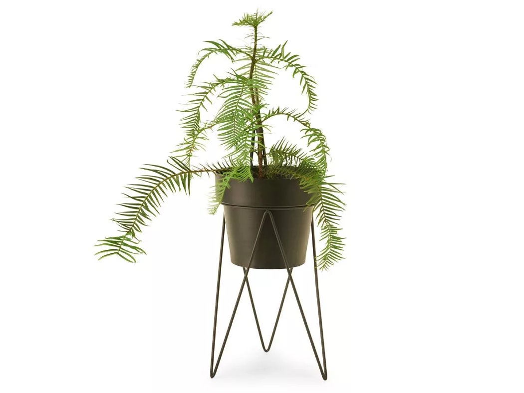 Bendo Plant Stakes & Stands 'PLANT' Indoor Plant Stand & Medium Pot Bundle 11 Bendo Plant Stakes & Stands 'PLANT' Indoor Plant Stand & Medium Pot Bundle