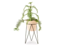 Bendo Plant Stakes & Stands 'PLANT' Indoor Plant Stand & Medium Pot Bundle 19 Bendo Plant Stakes & Stands 'PLANT' Indoor Plant Stand & Medium Pot Bundle