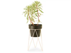 Bendo Plant Stakes & Stands 'PLANT' Indoor Plant Stand & Medium Pot Bundle 21 Bendo Plant Stakes & Stands 'PLANT' Indoor Plant Stand & Medium Pot Bundle