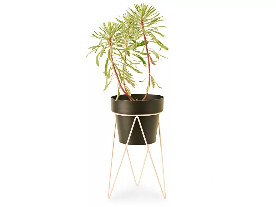 Bendo Plant Stakes & Stands 'PLANT' Indoor Plant Stand & Medium Pot Bundle 9 Bendo Plant Stakes & Stands 'PLANT' Indoor Plant Stand & Medium Pot Bundle