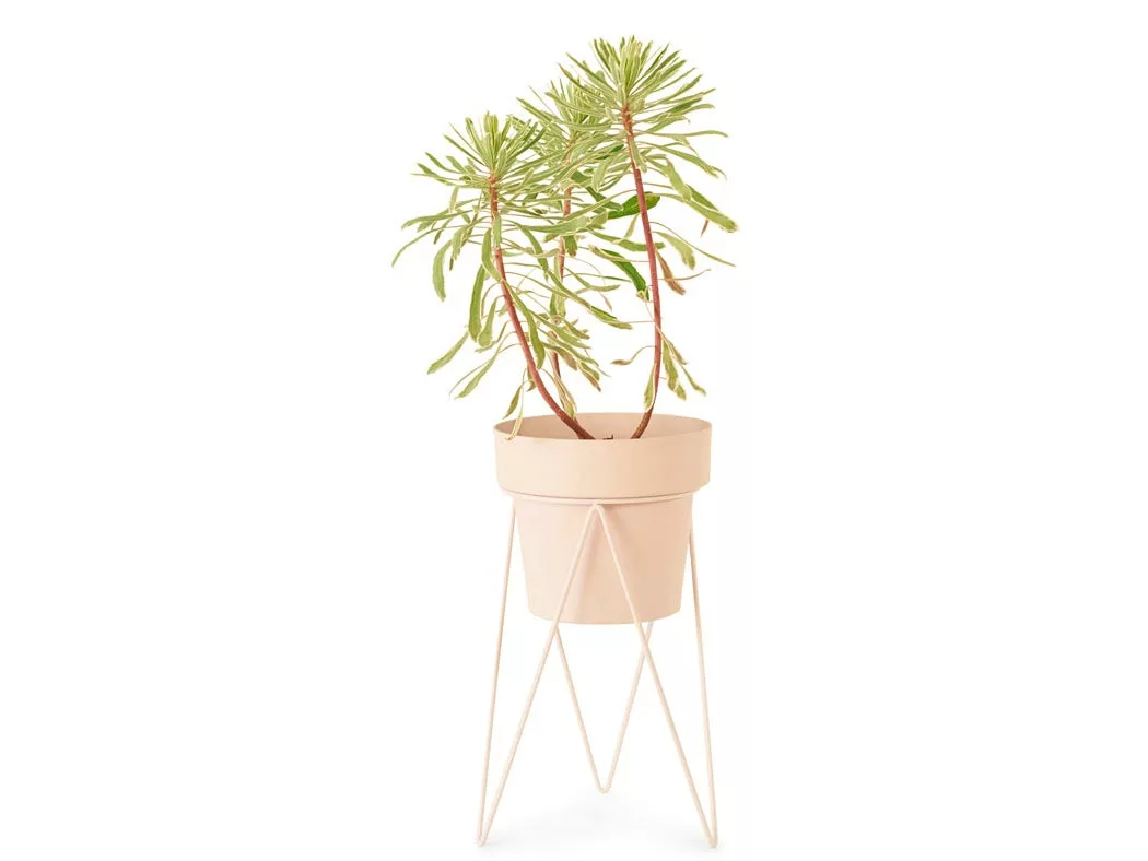 Bendo Plant Stakes & Stands 'PLANT' Indoor Plant Stand & Medium Pot Bundle 6 Bendo Plant Stakes & Stands 'PLANT' Indoor Plant Stand & Medium Pot Bundle