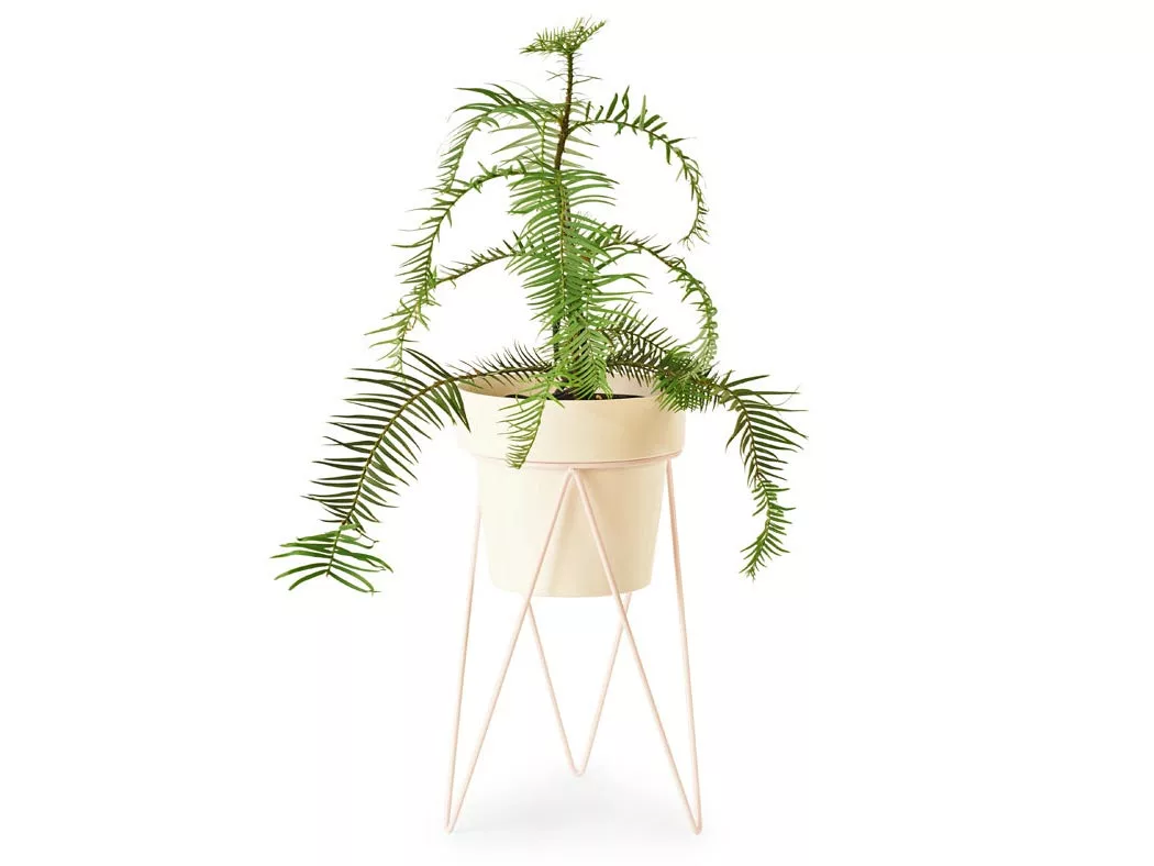 Bendo Plant Stakes & Stands 'PLANT' Indoor Plant Stand & Medium Pot Bundle 15 Bendo Plant Stakes & Stands 'PLANT' Indoor Plant Stand & Medium Pot Bundle