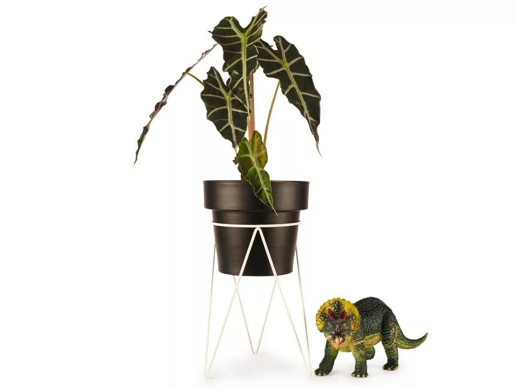 Bendo Plant Stakes & Stands 'PLANT' Indoor Plant Stand & Medium Pot Bundle 10 Bendo Plant Stakes & Stands 'PLANT' Indoor Plant Stand & Medium Pot Bundle