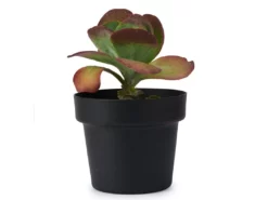 Bendo 'POT' Medium Indoor Plant Pot Pots & Hanging Baskets