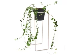 Bendo Plant Stakes & Stands 'TALL' Indoor Plant Stand & Medium Pot Bundle