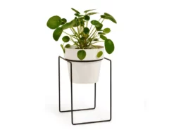 Bendo 'SHRUB' Plant Stand Mini & Small Pot Bundle Pots & Hanging Baskets