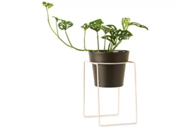 Bendo 'SHRUB' Plant Stand Mini & Small Pot Bundle Pots & Hanging Baskets