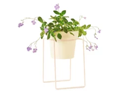Bendo 'SHRUB' Plant Stand Mini & Small Pot Bundle Pots & Hanging Baskets