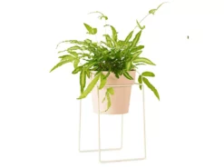 Bendo 'SHRUB' Plant Stand Mini & Small Pot Bundle Pots & Hanging Baskets
