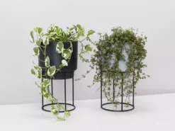 Elho Plant Stakes & Stands Eco Friendly ♻️ - Pot & Stand