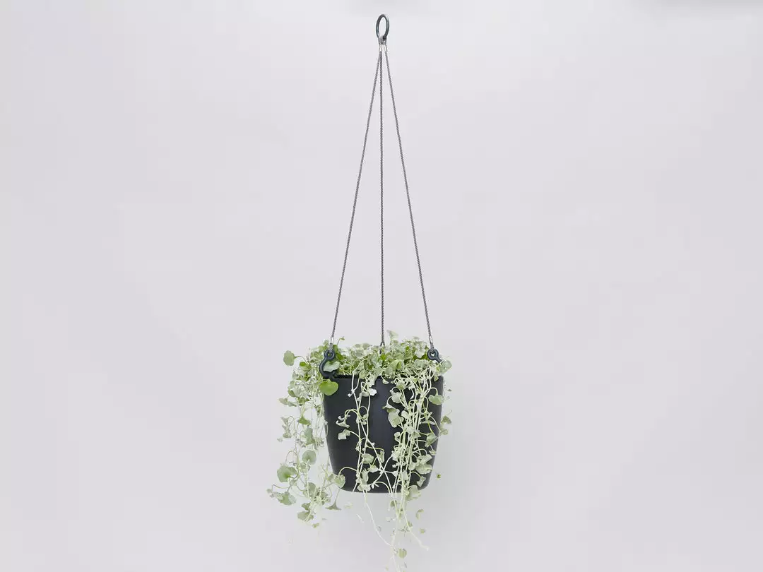 Gifts Pots & Hanging Baskets Eco-Friendly Self-Watering Hanging Basket 9 Gifts Pots & Hanging Baskets Eco-Friendly Self-Watering Hanging Basket