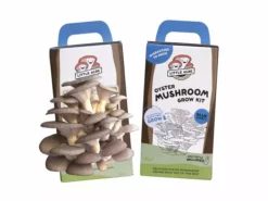 Little Acre Gourmet Mushrooms Blue Oyster Mushroom Grow Kit Gift Kits
