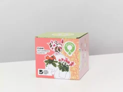 Plants In A Box Clear Glass Self-Watering Planter 12 Plants In A Box Clear Glass Self-Watering Planter