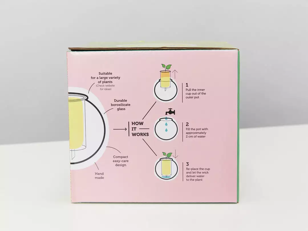 Plants In A Box Clear Glass Self-Watering Planter 8 Plants In A Box Clear Glass Self-Watering Planter