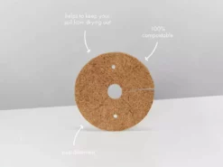 Pot + Plant Gift Box Cacti & Succulents The Plant Killers Gift Box - ZZ Plant