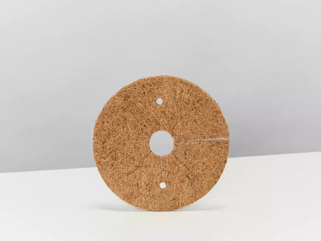 Pot + Plant Gift Box Monstera Deliciosa Tauerii - Pot + Plant + Soil Birthday 16 Pot + Plant Gift Box Monstera Deliciosa Tauerii - Pot + Plant + Soil Birthday