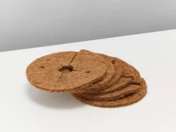 Indoor Garden Easy Care Plants 6 Bundle Box 📦 - Includes Plants, Pots & Soil