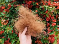 Plants In A Box Outdoor Accessories Coconut Coir (loose Bag)