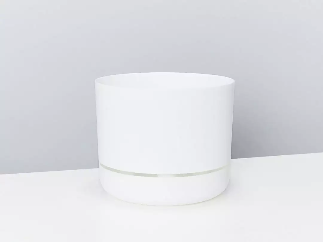 Pot + Plant Gift Box Cyrtomium Falcatum Maritimum - Pot + Plant + Soil Border Plants 15 Pot + Plant Gift Box Cyrtomium Falcatum Maritimum - Pot + Plant + Soil Border Plants