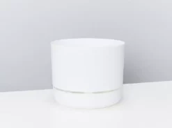 Indoor Garden Plant Packs Mr Kitly 3 Plants & 3 Pots - 250mm 24 Indoor Garden Plant Packs Mr Kitly 3 Plants & 3 Pots - 250mm