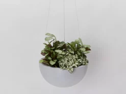 Indoor Garden Eco Hanging Baskets + Plants Combo Plant + Pot Multi Packs